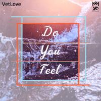 Artwork for Do You Feel by VetLove