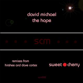 Artwork for The Hope (Hirshee's Big Room Mix)