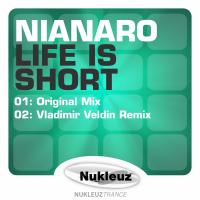 Artwork for Life Is Short by Nianaro