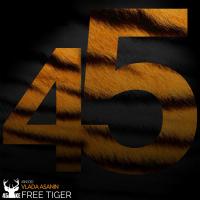 Artwork for Free Tiger by Vlada Asanin