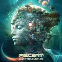 Artwork for Hippocampus by Ascent