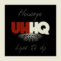 Artwork for Light It Up by Housego