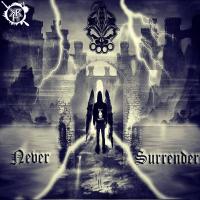 Artwork for Never Surrender by DRS