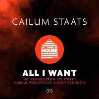 Artwork for All I Want by Cailum Staats