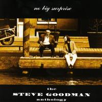 Artwork for Steve Goodman Anthology by Steve Goodman