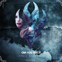 Artwork for Can You Feel It by Erbil Dzemoski