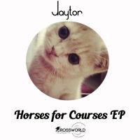 Artwork for Horses For Courses EP by Jaytor