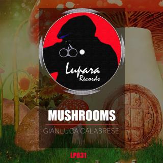 Artwork for Mushrooms (Original Mix)