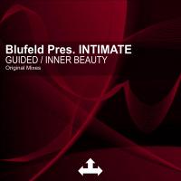 Artwork for Guided / Inner Beauty by Blufeld