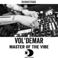 Artwork for Master Of The Vibe by VOL'DEMAR