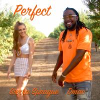 Artwork for Perfect by D'MAC