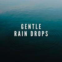 Artwork for Gentle Rain Drops by Deep Sleep