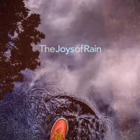 Artwork for The Joys of Rain by Rain Sounds