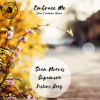 Artwork for Embrace Me (Dani Corbalan Remix) by Sean Norvis