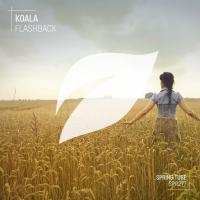 Artwork for Flashback by Koala