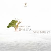 Artwork for Linha Fina (Capital Monkey Remix) by Capital Monkey