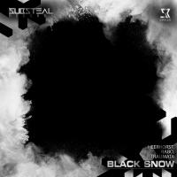 Artwork for Black Snow by Heerhorst