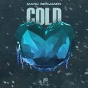 Artwork for Cold (TikTok Mix)