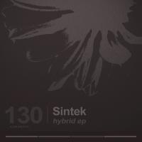 Artwork for Hybrid by Sintek