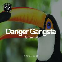 Artwork for Danger Gangsta by DJ Csemak