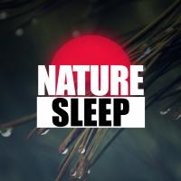 Artwork for Nature Sleep by Sleep Sounds of Nature