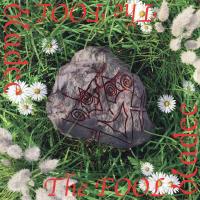 Artwork for The Fool by Bladee