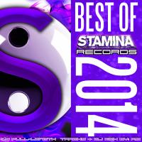 Artwork for Best Of Stamina Records 2014 by Various Artists