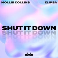 Artwork for Shut It Down by Mollie Collins