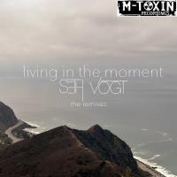 Artwork for Living In The Moment (The Remixes) by Seth Vogt