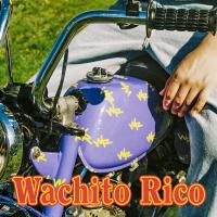 Artwork for Wachito Rico by boy pablo