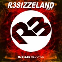 Artwork for R3sizzeland, Vol. 3 by Various Artists