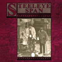 Artwork for Ten Man Mop or Mr Reservoir Butler Rides Again by Steeleye Span