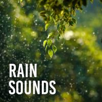 Artwork for Rain Sounds by Sounds Of Nature