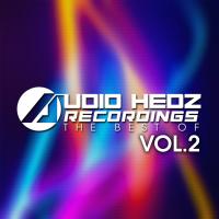 Artwork for Audio Hedz Recordings The Best Of, Vol. 2 by Various Artists