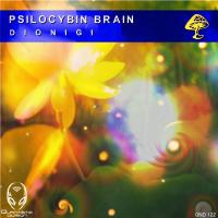 Artwork for Psylocibin Brain by Dionigi