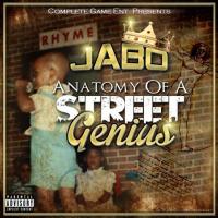 Artwork for Anatomy of a Street Genius by JABO