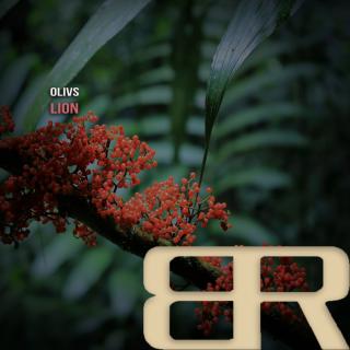 Artwork for Lion (Original Mix)