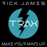 Artwork for Make Your Mind Up by Rick James