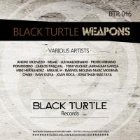 Artwork for Black Turtle Weapons Vol.1 by Lui Maldonado