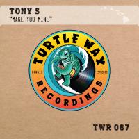 Artwork for Make You Mine by Tony S