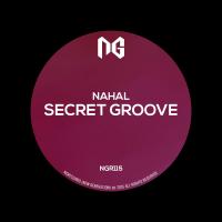 Artwork for Secret Groove by Nahal