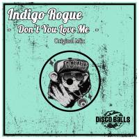 Artwork for Don't You Love Me by Indigo Rogue