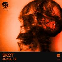 Artwork for Animal EP by Skot