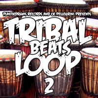 Artwork for Tribal Beats Loop  2 by Ck Pellegrini