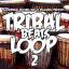 Artwork for Tribal Beats Loop  2 (Original Mix)