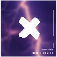 Artwork for Ding Recovery by Steff Corner