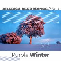 Artwork for Purple Winter by Various Artists