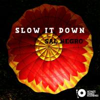 Artwork for Slow It Down by Sal Negro