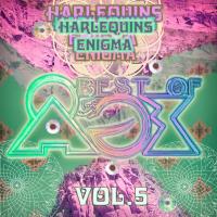 Artwork for Best of Åge Vol. 5 by Harlequins Enigma