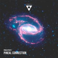 Artwork for Pineal Connection by Paulo Foltz